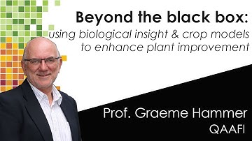 BEYOND THE BLACK BOX - using biological insight and crop models to enhance plant improvement