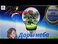 23.8 - Дары Неба - 2021/Школа Ангелов/Лена Воронова