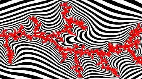 Fast Simulation of Laplacian Growth (2007) - Zebra Example