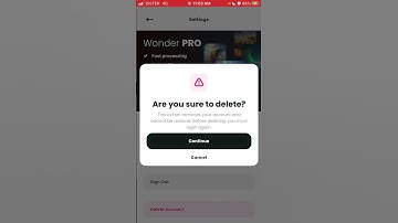 How to delete account in Wonder AI art generator?