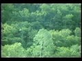 緑の胃薬 新サクロンCM 1980年代