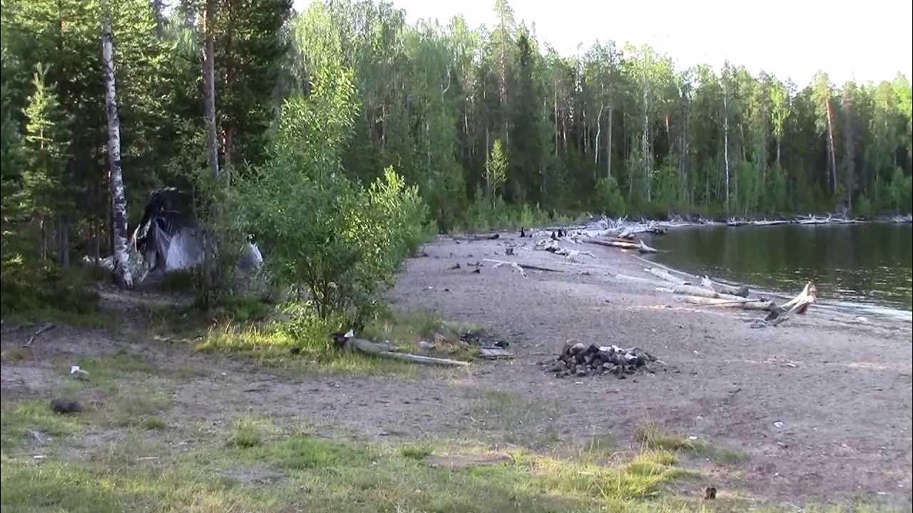 Природа пяозеро. Мыс горелый пяозеро карелия. Кумжа на пяозере. Река скорбеевская. Мыс горелый.