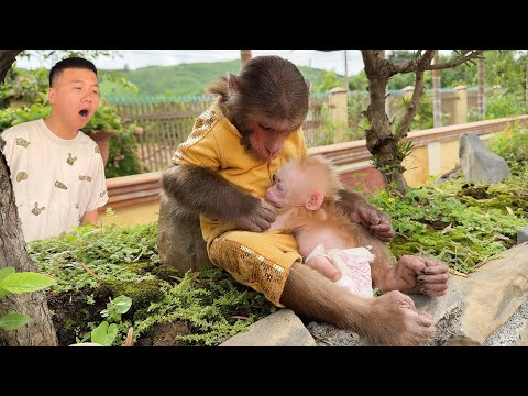 Unbelievable! Cutis Secretly