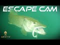 Escape cam  westin fishing