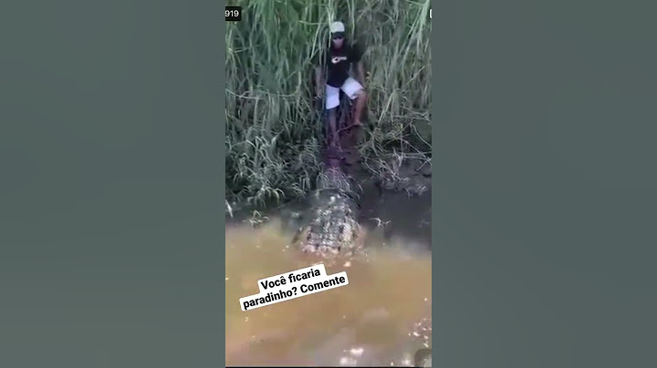 Homem ia ser comido pelo crocodilo! #crocodilo #jacaré  #viral #shorts  não meche não daniel