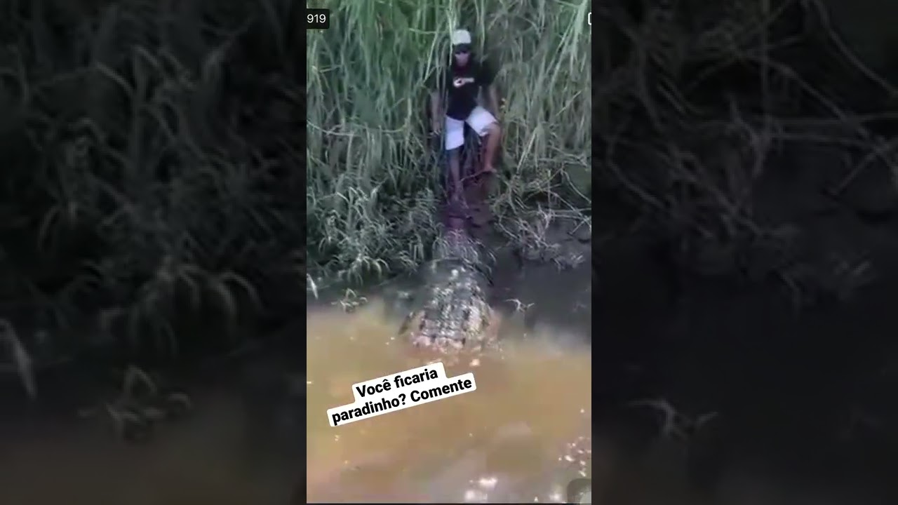 Homem ia ser comido pelo crocodilo! #crocodilo #jacaré  #viral #shorts  não meche não daniel