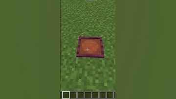 What If Minecraft Added New Item Frames?