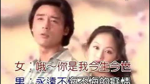梅花烙最動聽的插曲 鐘鎮濤&章蓉舫《你是我心底的烙印》