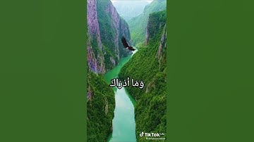 سورة القدر ... تلاوة نادرة عبدالباسط عبدالصمد