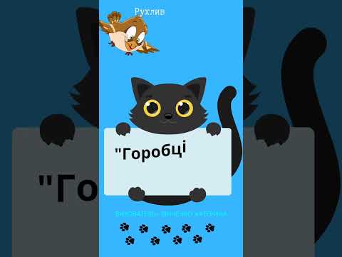 Рухлива гра Горобці та котик ЗДО 118 Чайка ЗМР