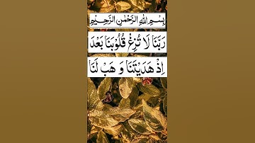 سوره آل عمران آیه 08