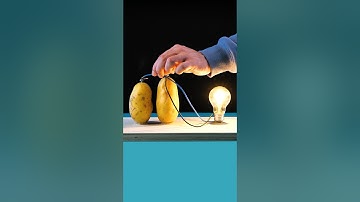 How to make a potato light bulb #shorts #potato #electric #viralchannel #foryou #viralytshorts