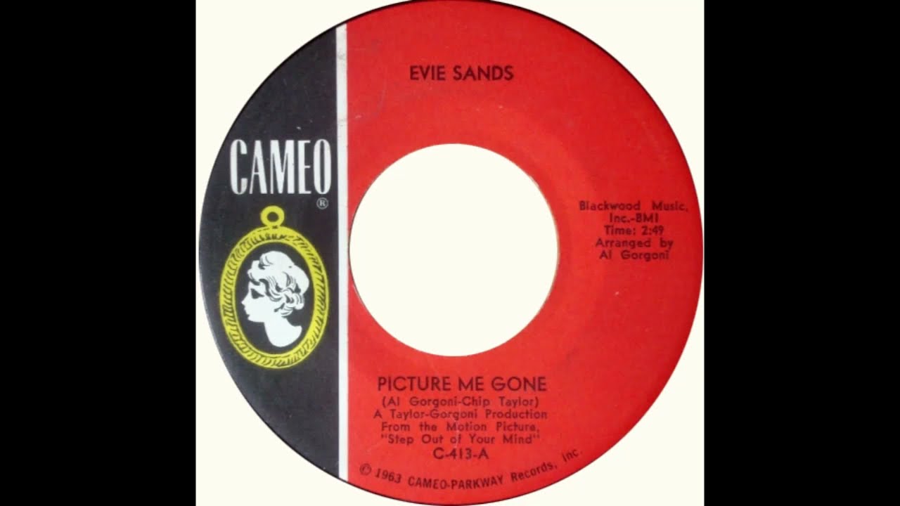 Evie Sands – “Picture Me Gone” (Cameo) 1966 - YouTube