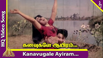 Kanavugale Ayiram Video Song | Needhikku Thalaivanangu Songs | MGR | Latha | MSV | Pyramid Music