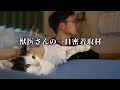 小さな命を守る—獣医のリアルな一日に密着