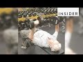 Watch a 90-year-old fitness enthusiast work out