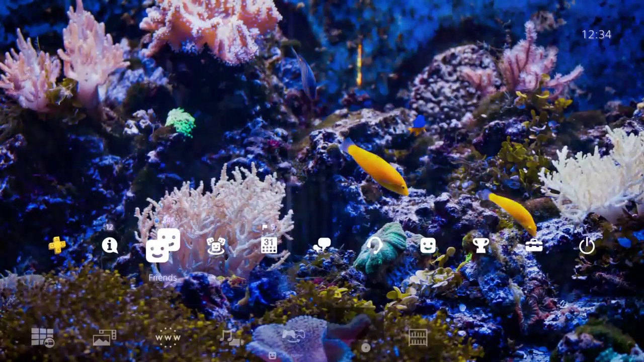Brain Breaker 4K Amazing Tropical Underwater with Coral Reef PS4