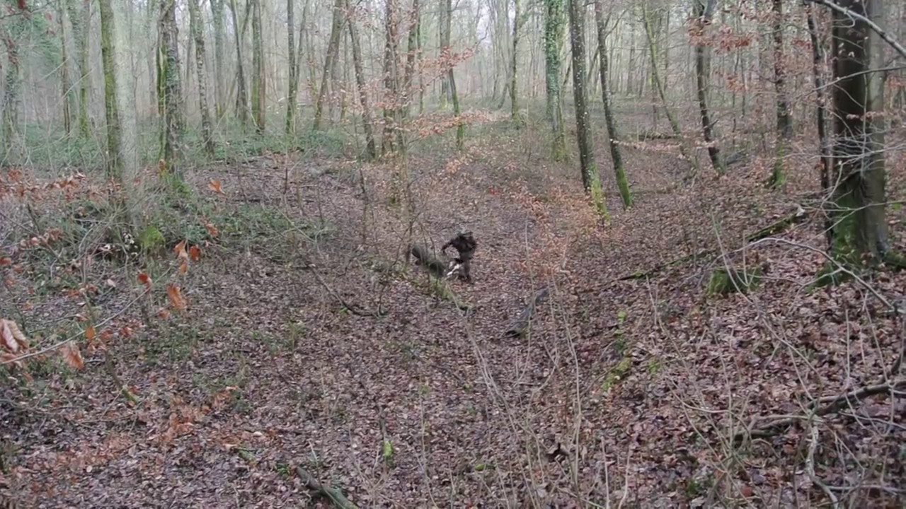 Swiss Alpenflage camouflage during winter time. - YouTube