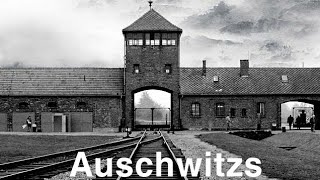 Reportage Auschwitz Camp De La Mort