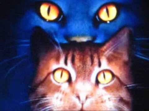 warrior cats deutsch