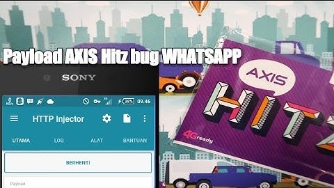 Payload Axis Hitz bug WHATSAPP