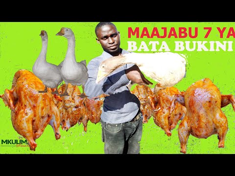 Video: Jinsi ya Kutunza Bata (na Picha)