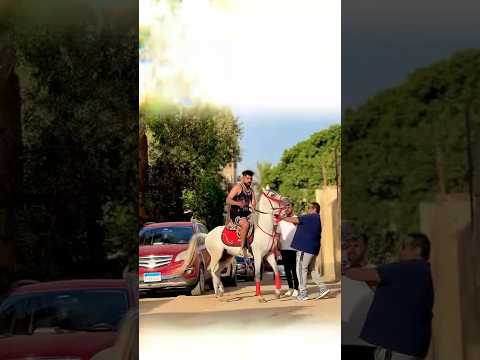 شتمو عشان ركب الحصان بتاعو شوفو هيعمل اي انتظرو الجزء التاني