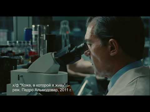 Хорошее кино -