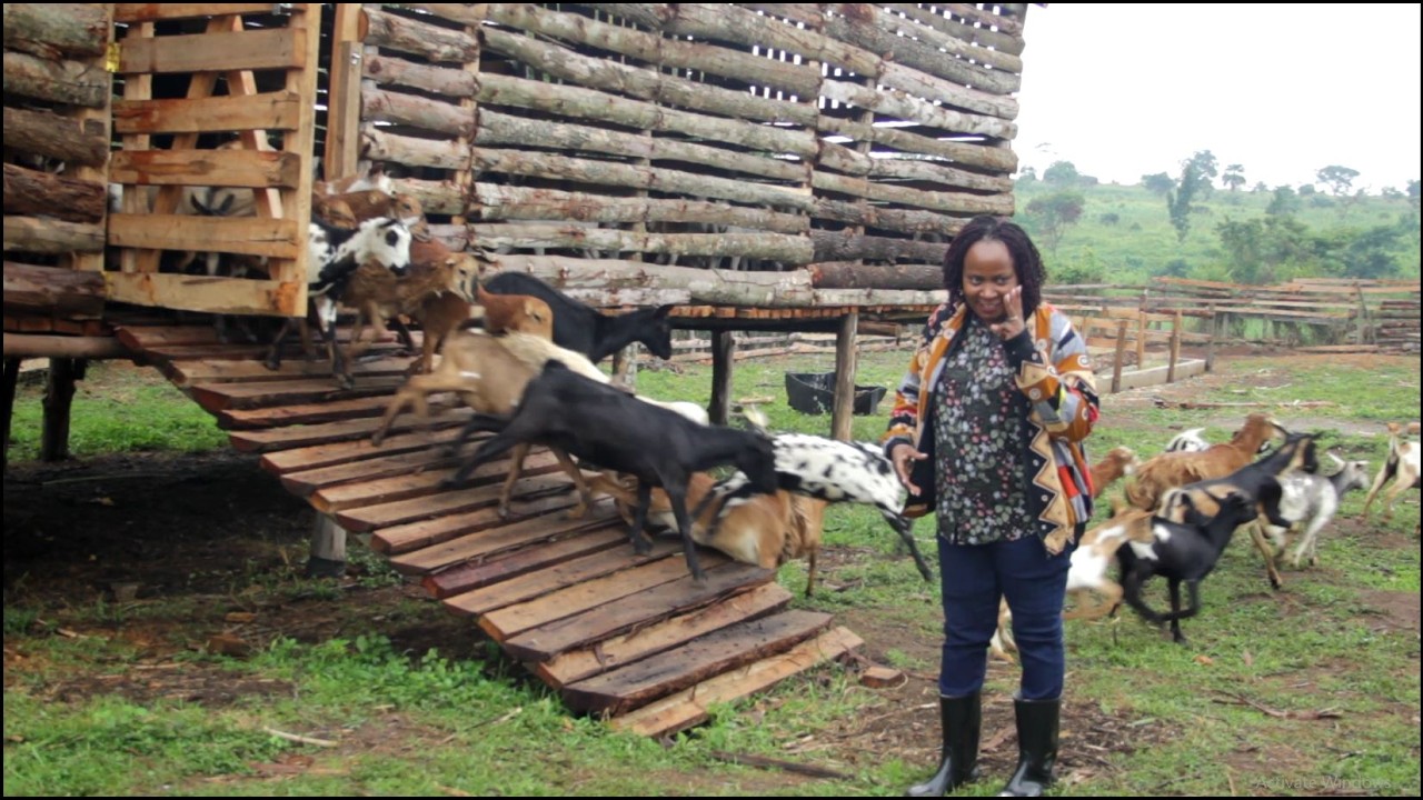 How a Hoima Businesswoman Built a Thriving Mixed Farm | Farm Matters