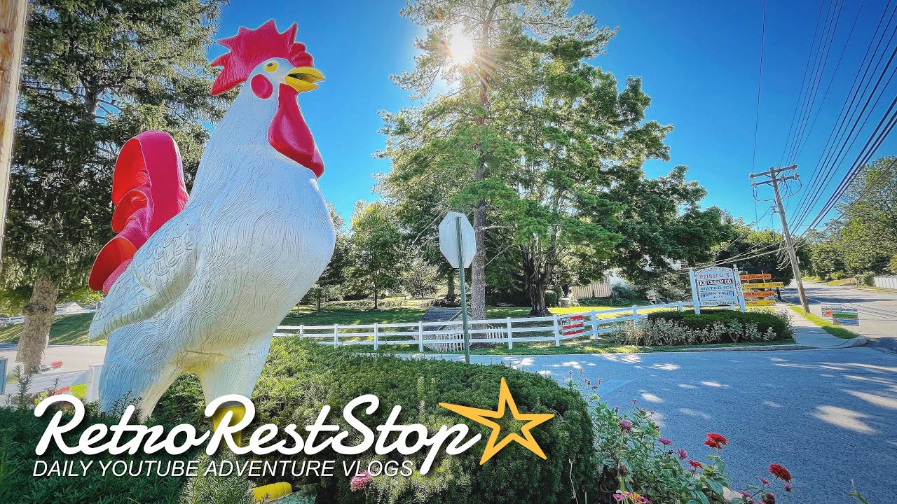 The Big Chicken Statue At Nor View Farms In King Of Prussia
