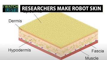 Researchers Make Robotic Skin Break Through