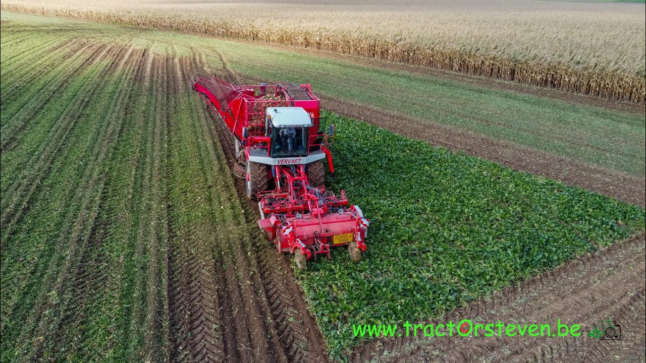 Vervaet 617 Beat Eater    -Delto-Agri BV (Lauw)