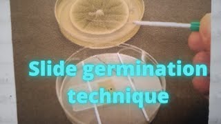 Bioassay of fungicides - slide germination technique