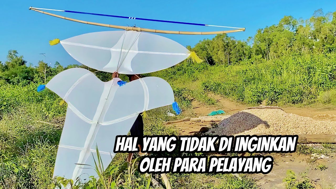 Menerbangkan Layangan Kak Sekaan #layangan #layangansawanganmadura