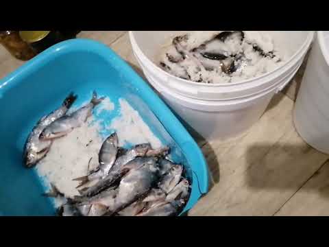 Как не пересолить рыбу при сухом посоле