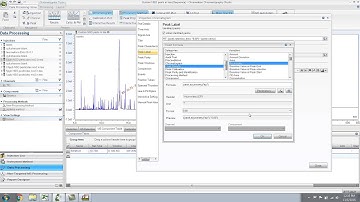 Data Processing in Chromeleon for GC MS Part 3