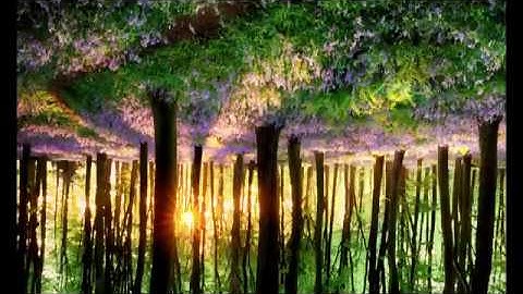 Spring in my steps (Lovely remix)