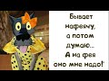 ✔️Говорят, что худые - злые. Полные - добрые. А я - средняя. Я вредная...Анекдоты с Волком