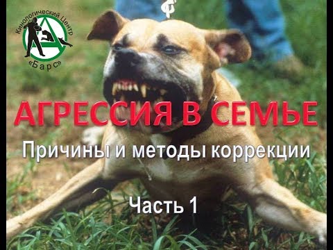 НЕРВНЫЙ СРЫВ =