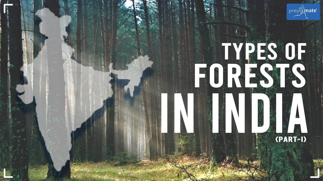 Types of Forests in India - l - YouTube