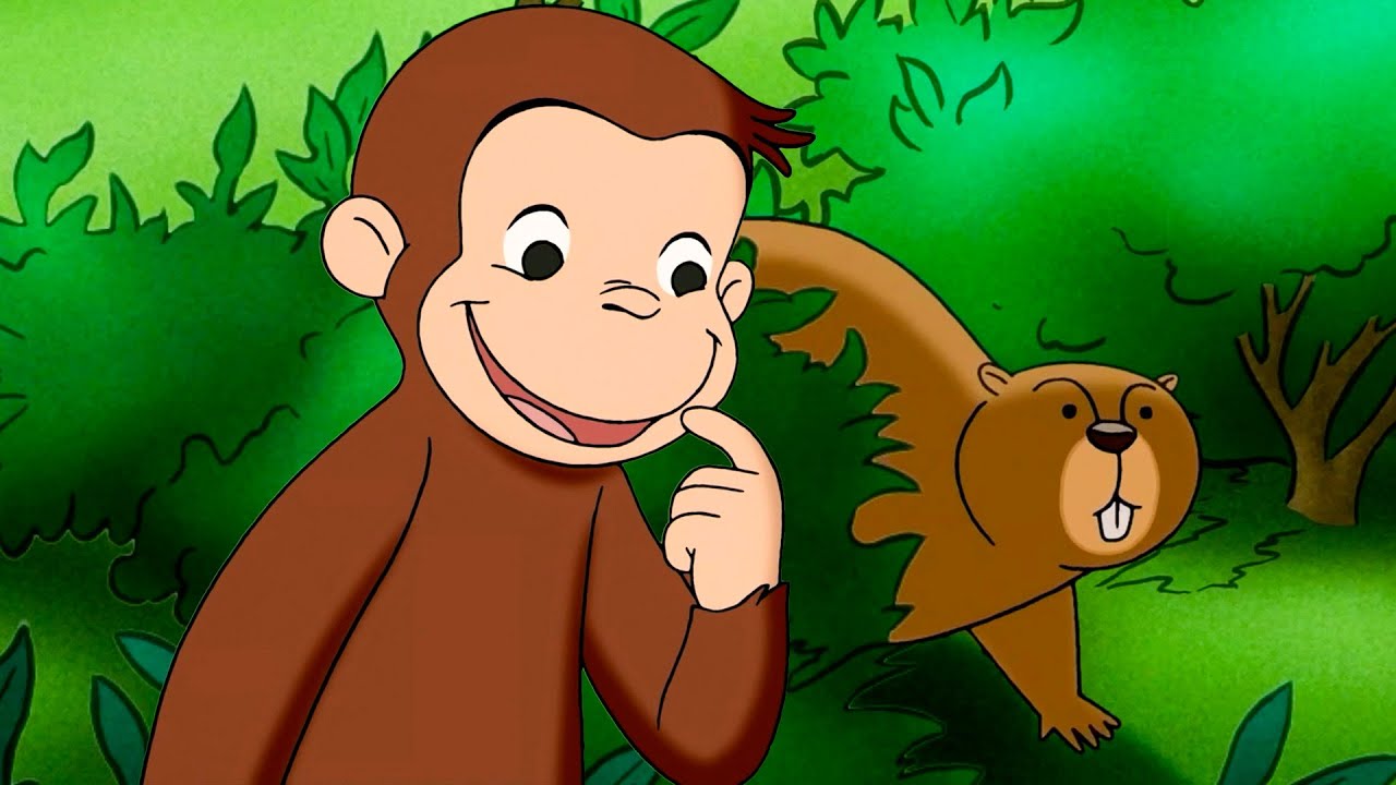 Ist das ein Murmeltier!? | Coco der Neugierige | Cartoons für Kinder