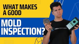 Finding the Right Mold Inspector: What Every Homeowner Needs to Know