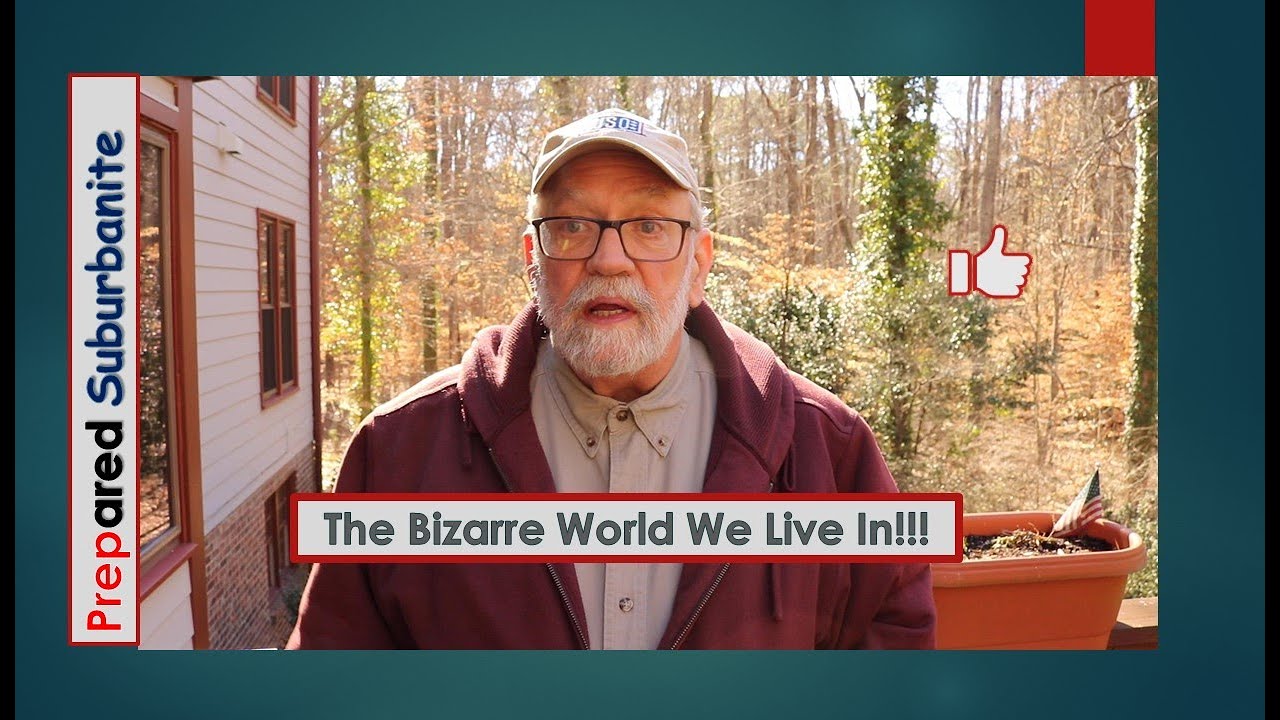 The Bizarre World We Live In !!! - YouTube