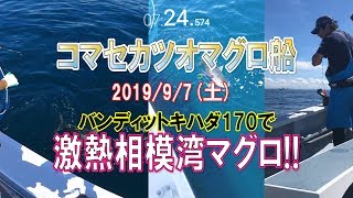 プリン 釣り ごま アマダイ釣行記