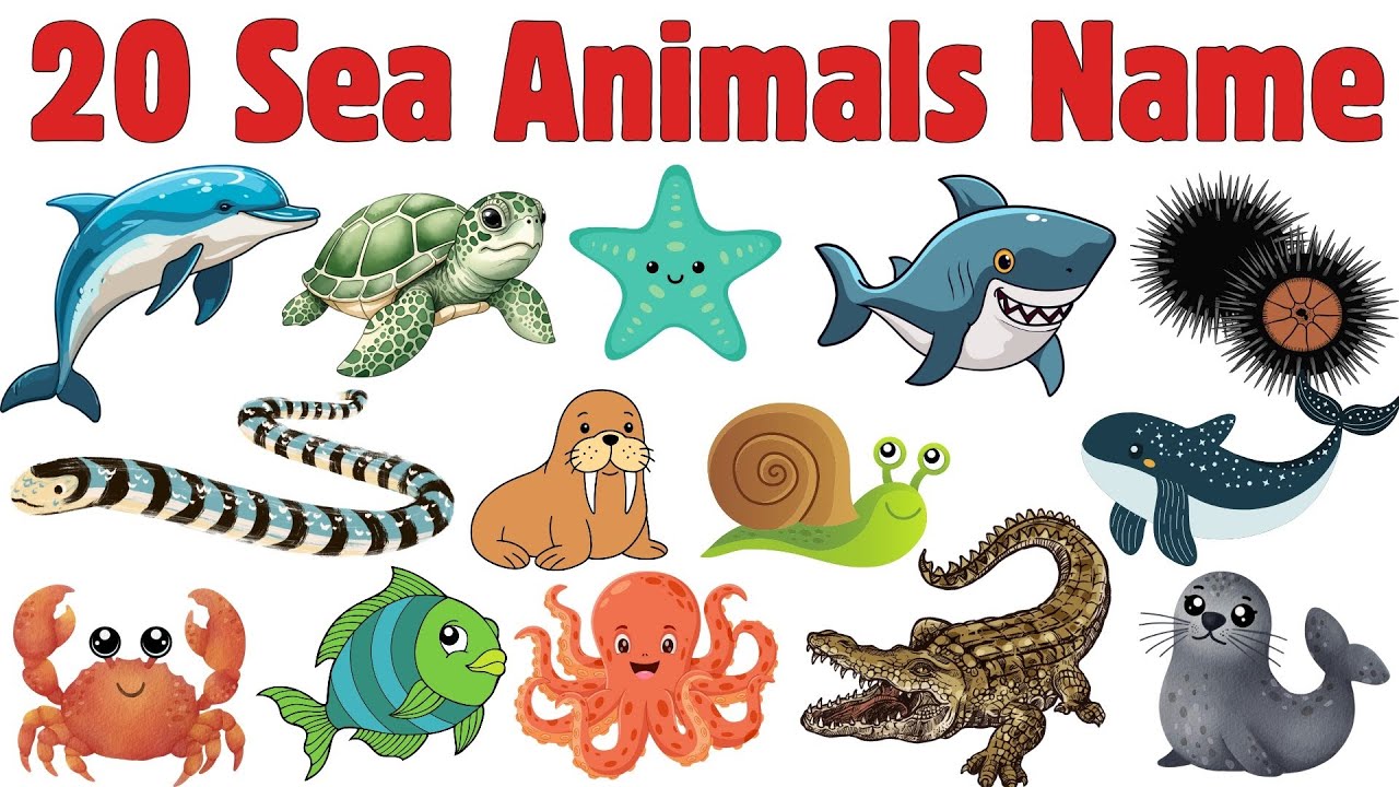 20 Sea Animals for Kids | Learn Ocean Animals Names in English | Water ...