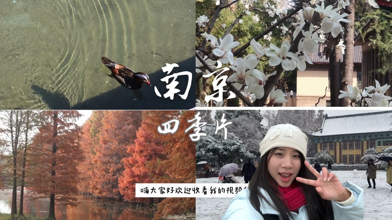 Khám phá 4 mùa ở Nam Kinh || tndihoc