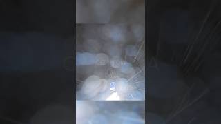 Power flash in Intense Blizzard Winds #snow #up #blizzard #weather #stormchaser #storm Power flash in Intense Blizzard Winds #snow #up #blizzard #weather #stormchaser #storm