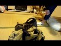 息子にお帰り～猫　　　　Cat is happy to meet a son again