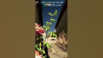 من أجمل التلاوة