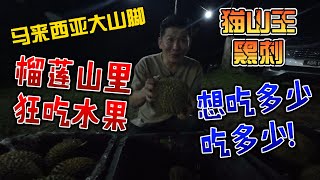 马来西亚大山脚，榴莲山里狂吃水果，猫山王黑刺，想吃多少吃多少